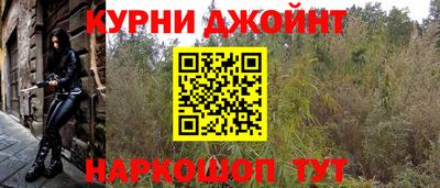 СК Ирбит