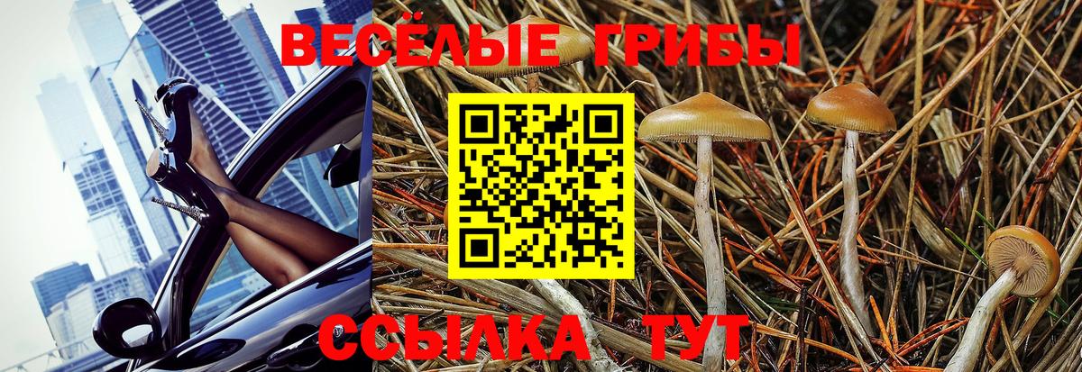 Галлюциногенные грибы Magic Shrooms Мелеуз