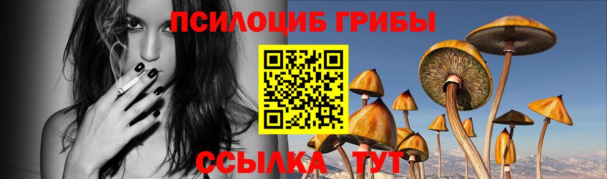 Псилоцибиновые грибы мухоморы  Вход с VPN  Мелеуз 